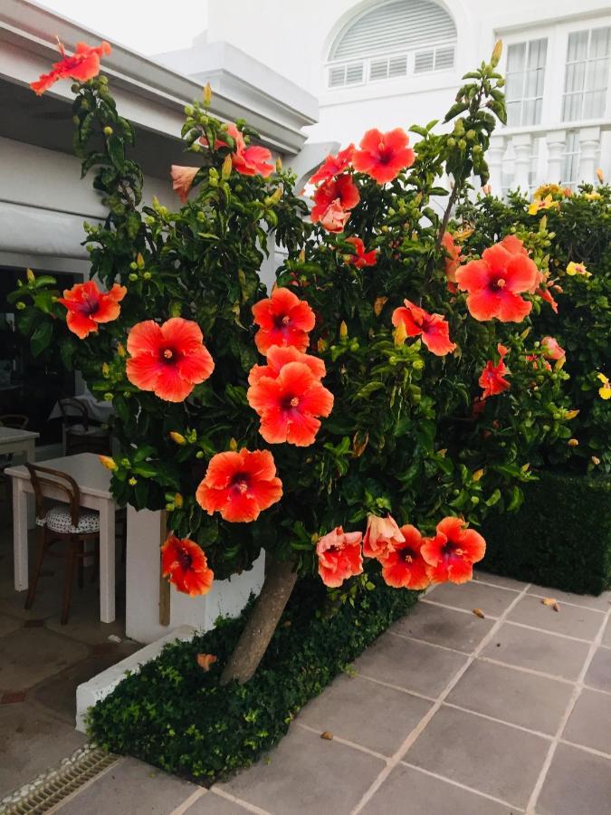 Our Hermanus House Ngoại thất bức ảnh